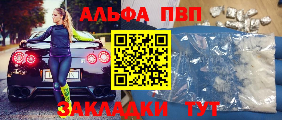 APVP СК Бердск