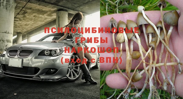 ешки Лагань