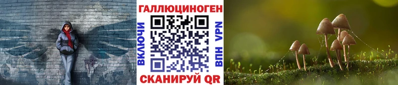 как найти закладки  блэк спрут ТОР  Псилоцибиновые грибы Psilocybine cubensis  Бердск 