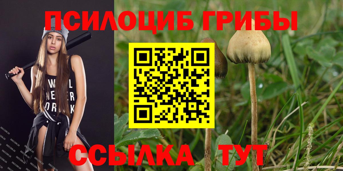 Псилоцибиновые грибы Magic Shrooms Бердск