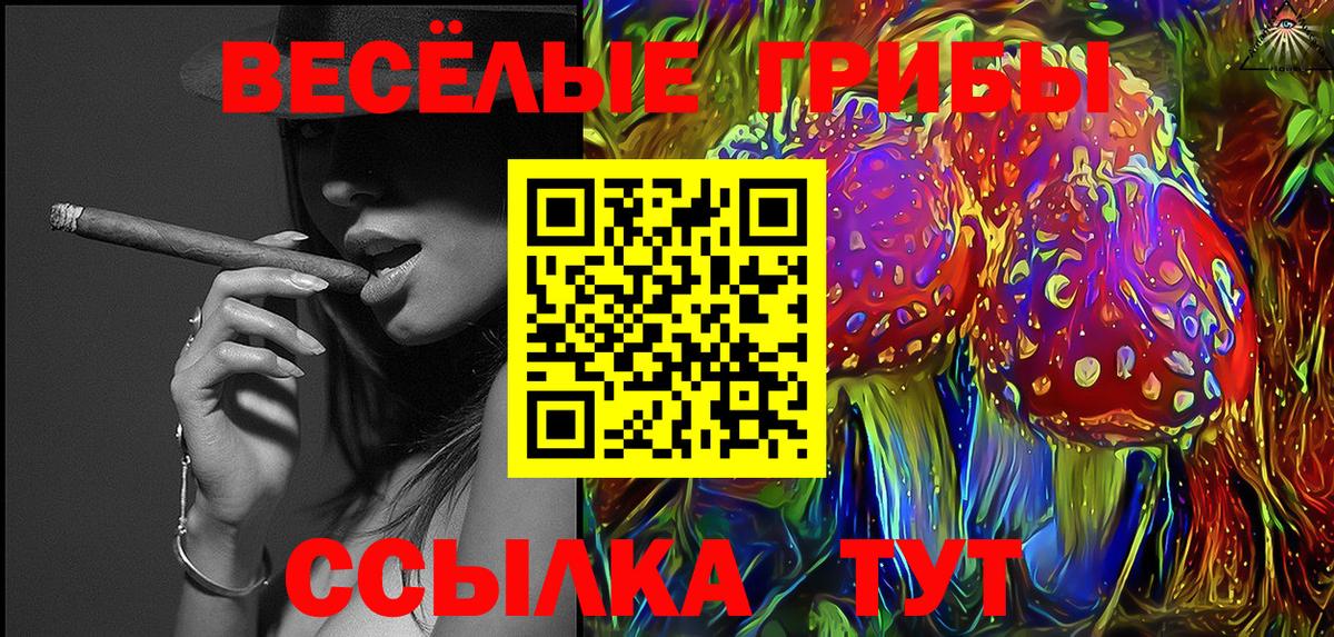 дарнет шоп  Псилоцибиновые грибы прущие грибы  Вход с VPN  Бердск 