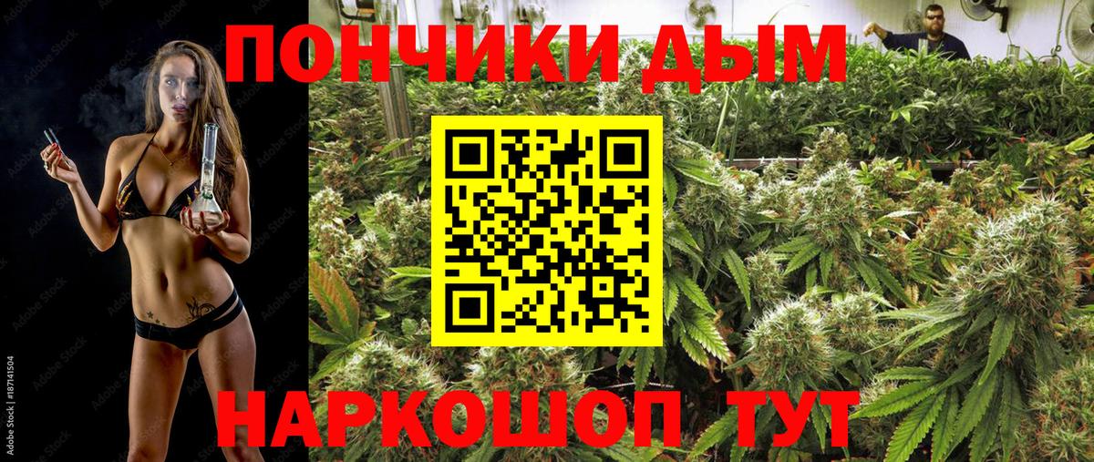 Марихуана AK-47  Каннабис план  Вход с VPN  Бердск  Бошки марихуана конопля 